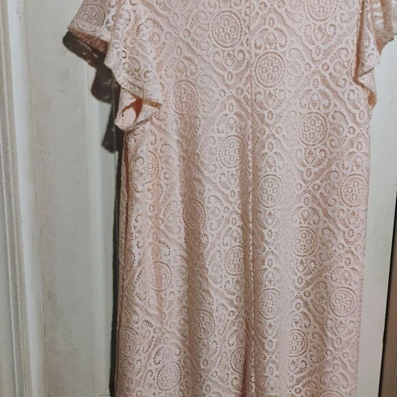 Espresso Soft Pink Lace Mini Dress - Picture 11 of 12
